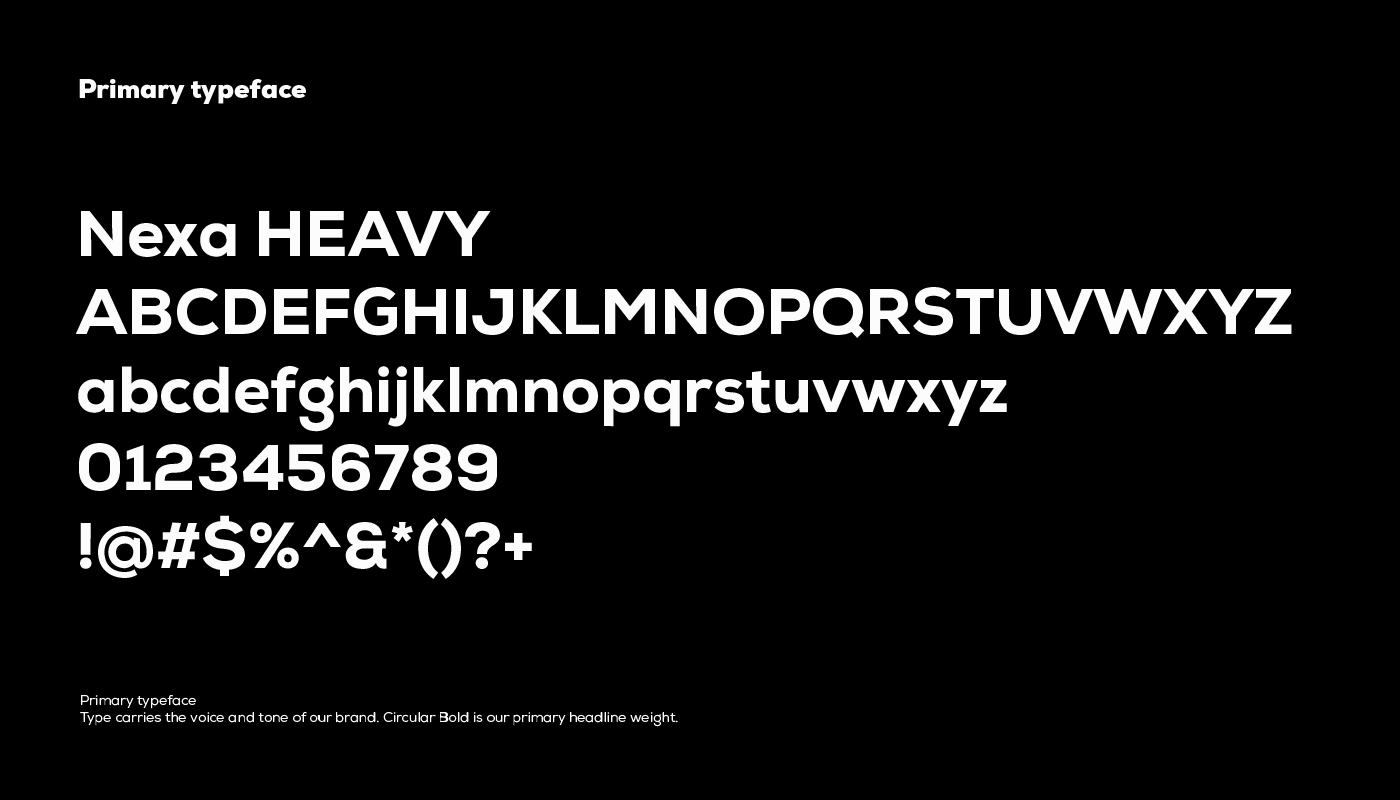 Media Turtles-Brand Identity — image 7