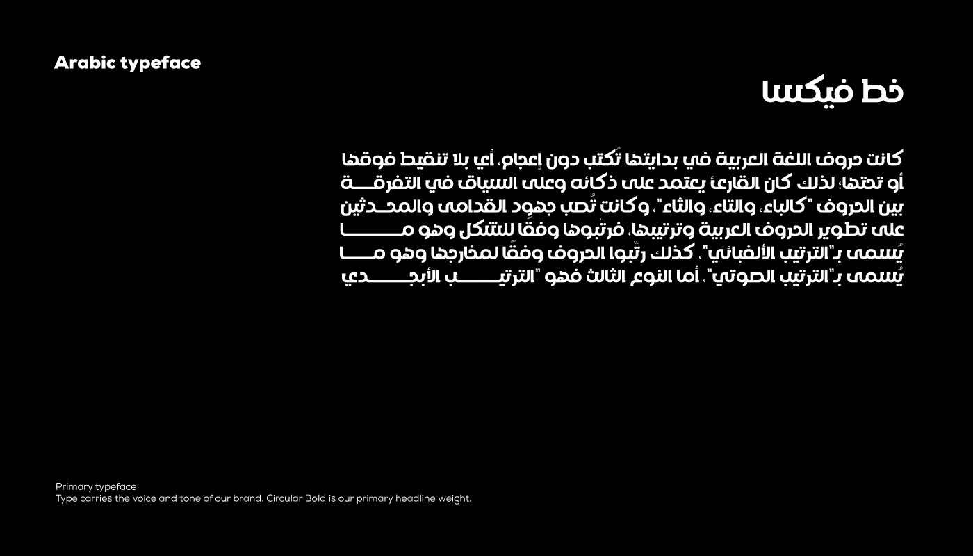 Media Turtles-Brand Identity — image 20